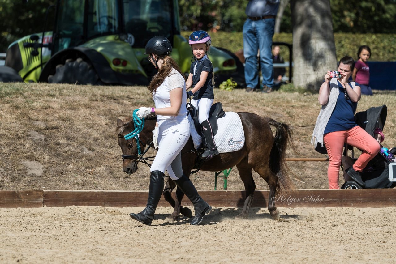 Bild 42 - Pony Akademie Turnier